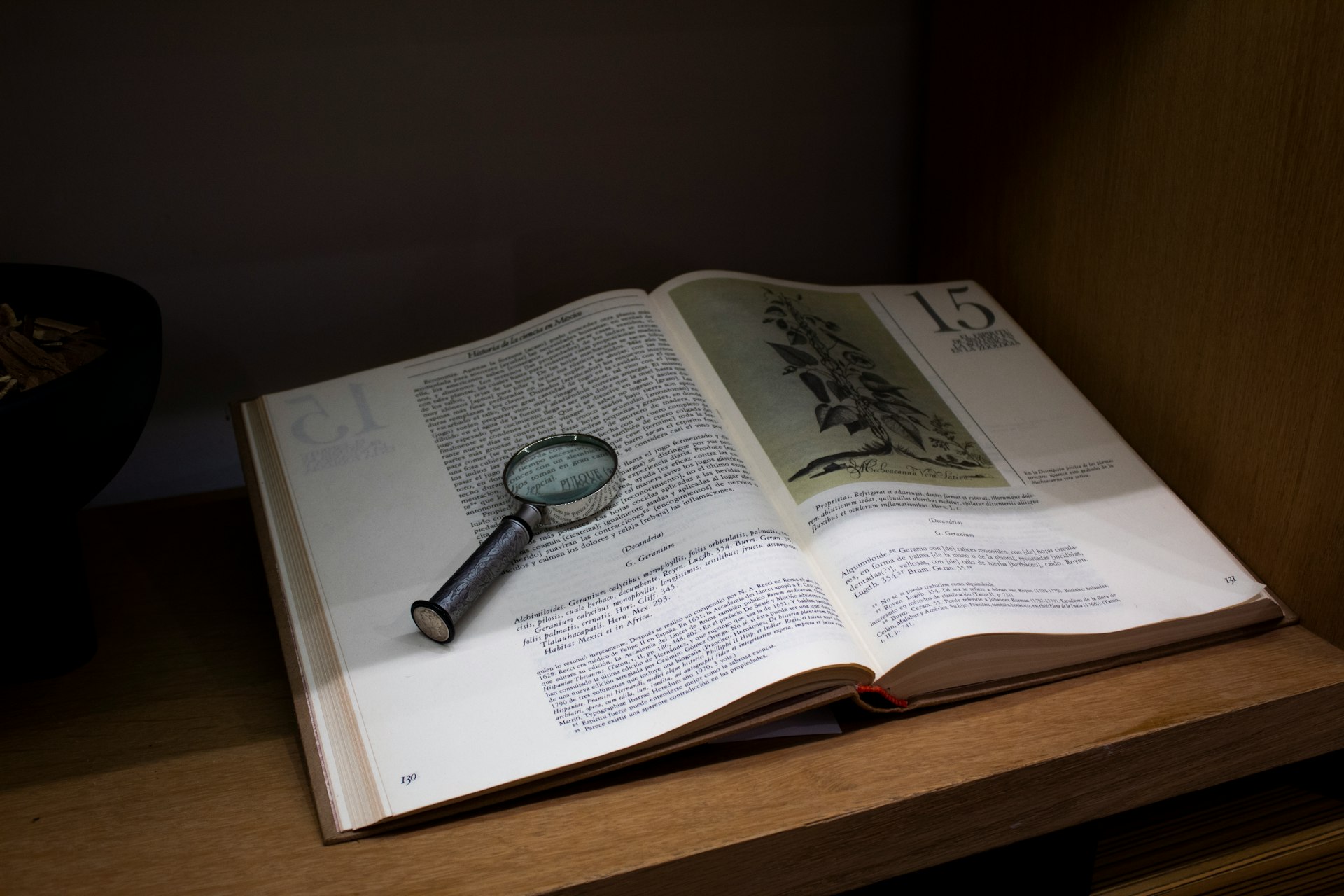 an open book with a magnifying glass on top of it